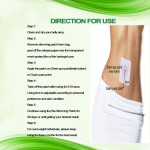 Weight Loss Patch Factory - OEM ODM Natural Herbal Belly