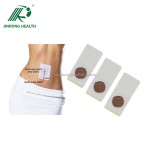 Beauty Patches Manufacturer - OEM ODM Fat Burning Magnet Slim