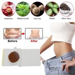 Slim Patch Supplier - OEM Free Sample Natural Extraction