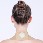 Moxa Plaster Factory - Wormwood Moxibustion Herbal Self Heating Back