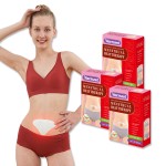 Menstrual Patches Supplier - Wholesale Customized Winter Lady Comfort Pain