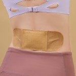 Ginger Plaster Factory - Ginger Moxa Moxibustion Heating Muscle Back