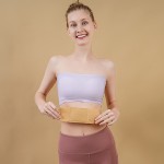 Ginger Plaster Factory - Ginger Moxa Moxibustion Heating Muscle Back