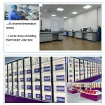 Pain Relief Patch Factory - New Product Natural Neck Knee Waist Heat