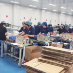 Neck Patch Manufacturer - Self Heating OEM ODM Relieve Stiff Back Waist