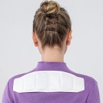 Health Care Patch Supplier - Wellness Shoulder Neck Pain Relief Heat