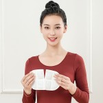 Pain Relief Pad Manufacturer - Chinese Hot Back Menstrual Waist Warmer