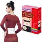 Body Warmer Supplier - Long Lasting Odourless Air Activated Instant Wholesale