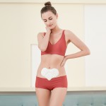 Belly Wrap Factory - Disposable Adhesive Heat Pad Warm Waist Back Pain