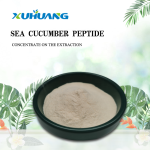 海参蛋白粉/海参肽/海参多肽最优价格