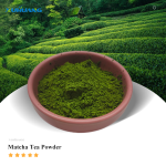 批发免费样品A-3A绿茶抹茶粉100%纯抹茶粉