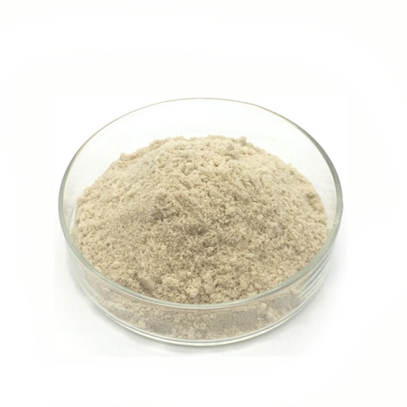 Factory Supply Quinoa Protein Powder  Quinoa Powder