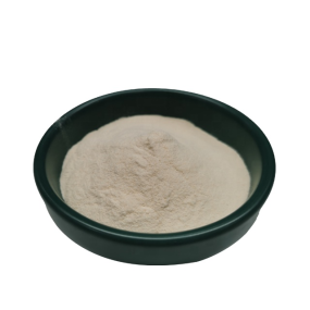 Best Price of Dried Sea Cucumber Protein Powder/ Sea Cucumber Peptide /sea Cucumber Polypeptide