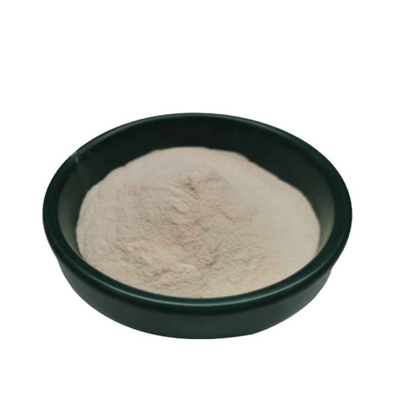 Best Price of Dried Sea Cucumber Protein Powder/ Sea Cucumber Peptide /sea Cucumber Polypeptide