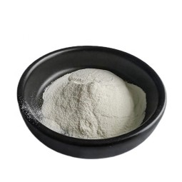 Top Quality Snail Slime Mucin Extract Snail Protein Powder