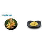 Factory Supply Natural Powder Broken Pine Pollen