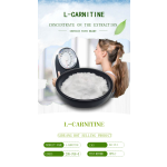Factory Wholesale Pure L-Carnitine 99% L-Carnitine Powder