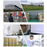High Quality Poria Extract