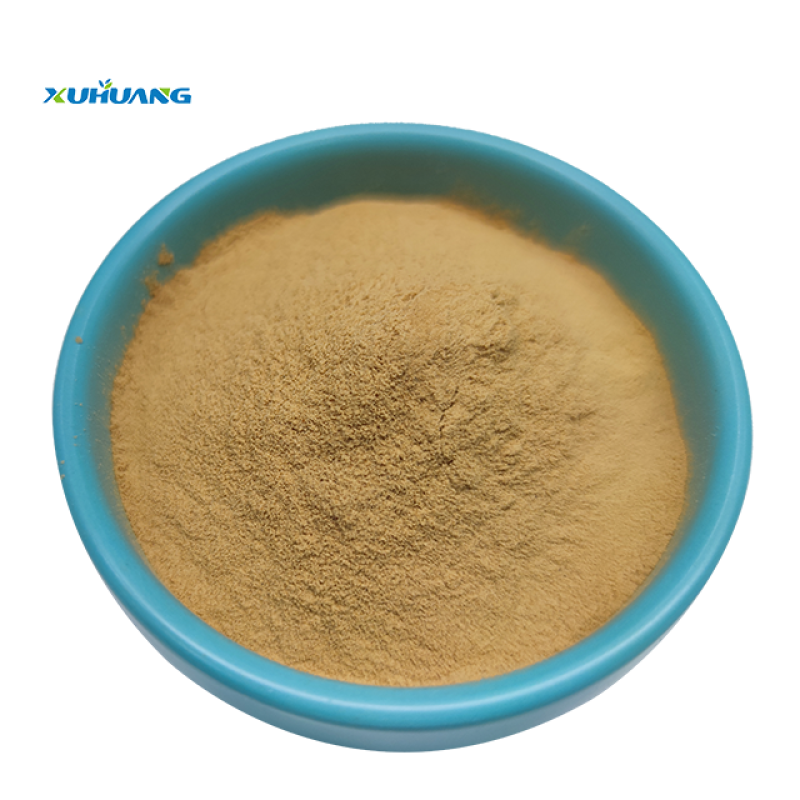 High Quality Spine Date Seed Extract
