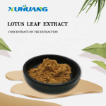高品质荷叶提取物