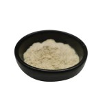 制造商免费样品刺梨玫瑰提取粉