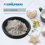 优惠价格EGCG粉98%绿茶提取物EGCG