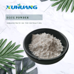 优惠价格EGCG粉98%绿茶提取物EGCG