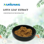 高品质荷叶提取物