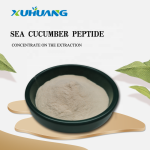 海参蛋白粉/海参肽/海参多肽最优价格