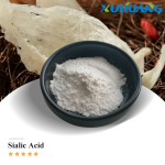 CAS 131-48-6  N-Acetylneuraminic Acid Powder Sialic Acid