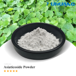 积雪草（Centella Asiatica）提取物10% -95%