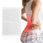 Warmer Stickers Supplier - Hot Selling Comfortable Herbal Self-heating Warm
