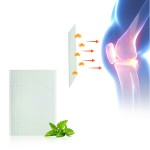 Counterpain Patch Manufacturer - Cheap Price Transdermal Sticker Natural Herbs