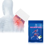 Pain Patch Supplier - Chinese Supplier Muscle Joint Body Back Chinese Herbs