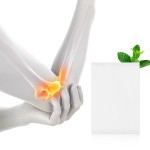 Counterpain Plaster Manufacturer - Prime Quality Healthcare Natural Chinese Herbal