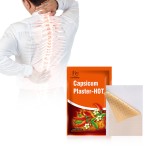 Capsicum Plaster Supplier - Low Price Pain Capsicum Back Pain Quick Effect