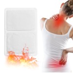 Body Warmer Factory - High Quality Deep Heat Plaster Double Side Herbal