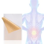 Analgesic Patch Manufacturer - OEM Service Chili Paste Sanitayaki Capsaicin