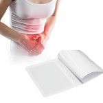 Body Warmer Factory - High Quality Deep Heat Plaster Double Side Herbal