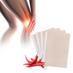 Herbal Plaster Manufacturer - New Design Capsicum Back Joint Muscle Quick Effect