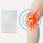 Analgesic Patch Manufacturer - Original Herbal Transdermal Counterpain Spunlace