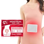 Heating Pad Manufacturer - Custom LOGO Disposable Self Heating Menstrual Pain