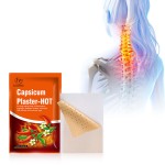 Capsicum Patch Manufacturer - Capsaicin Muscle Joint Sanitayaki Herbal Adhesive
