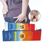 Hemorrhoid Ointment Supplier - High Quality Chinese Traditional Internal