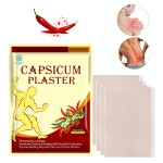 Pain Patches Supplier - China Wholesale Good Capsicum Adhesive Porous