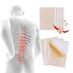 Capsicum Patch Manufacturer - Capsaicin Muscle Joint Sanitayaki Herbal Adhesive