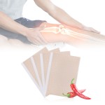 Capsicum Plaster Supplier - Low Price Pain Capsicum Back Pain Quick Effect
