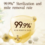 Laundry Detergent Pods Factory - ODM 5-in-1 Stain Removing Laundry Pods