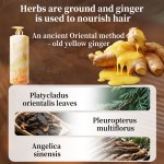 Anti-Hair Loss Shampoo Supplier - Custom Ginger Formula Hair Strengthening Shampoo