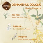 Laundry Detergent Manufacturer - OEM Osmanthus Oolong Perfume Enzyme Detergent
